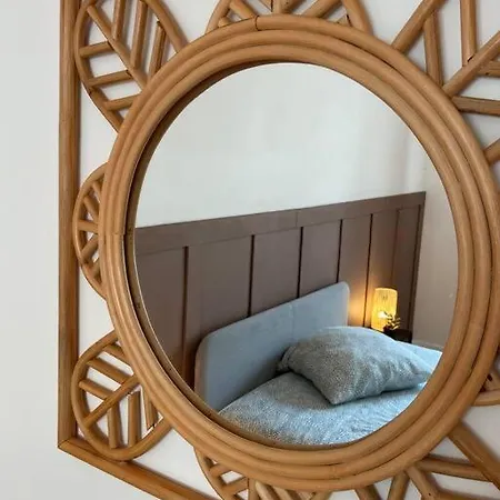 Apartment Charismatique Orangerie-10min Parlement Eu-wifi-tv Strasbourg