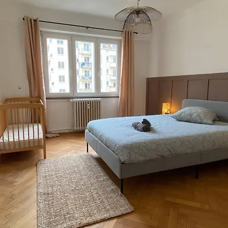 Apartament 10 Min Christmas Market And 10min Eu Parliament-wifi-tv Strasburg
